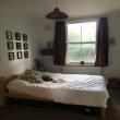 Share Accommodation -  Looking for Flatmate 